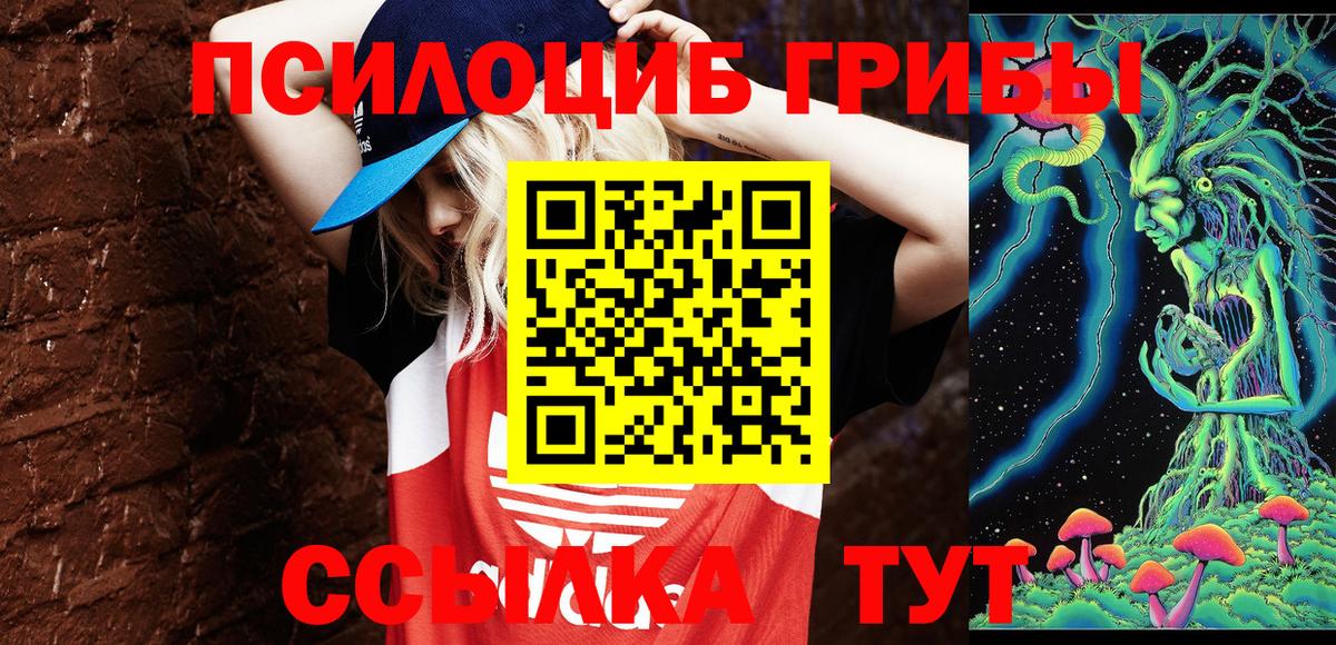 Карасук  где найти   Вход с VPN  Галлюциногенные грибы Psilocybine cubensis 