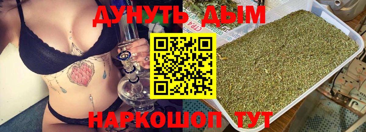 Канабис OG Kush Карасук